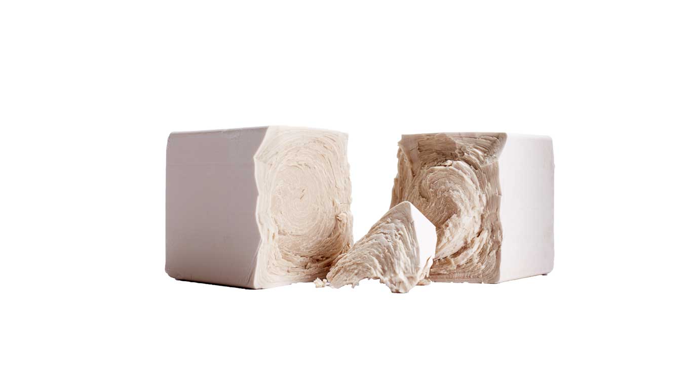 Fresh / Compressed Yeast Baking Products SG